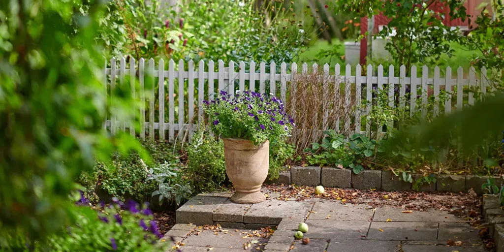 Garden with a white picket fence boundy. What is the Access to Neighbouring Land Act 1992?